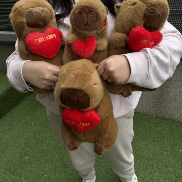 Capybara Valentines Day